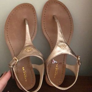 Coach Sandals Never Worn